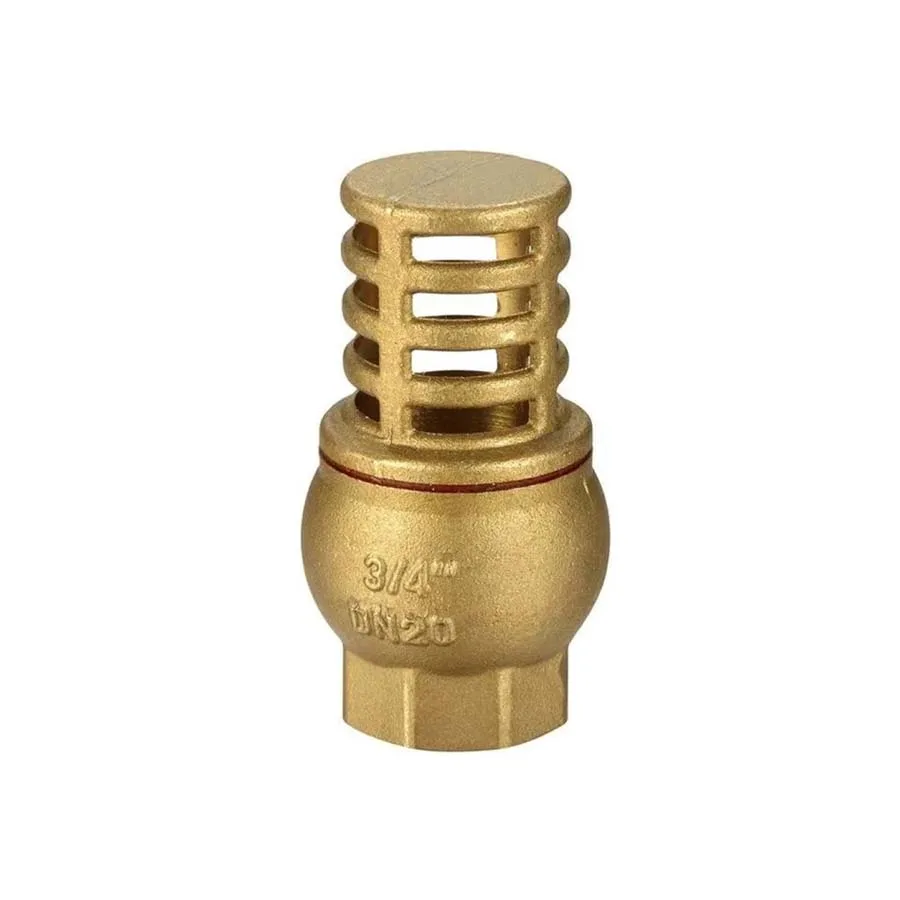 Brass Foot Valve
