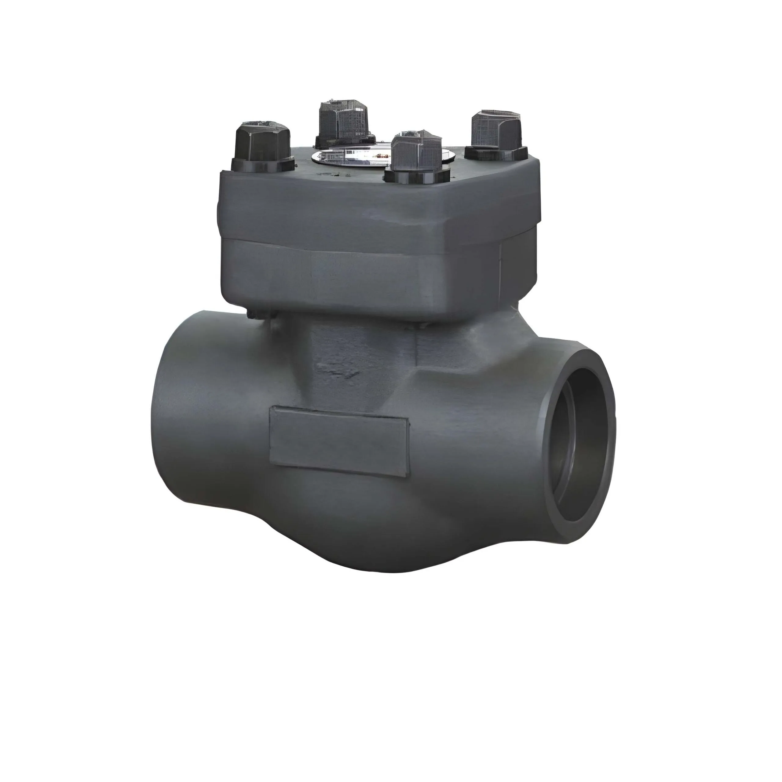 Carbon Steel Class 800 Check Valve