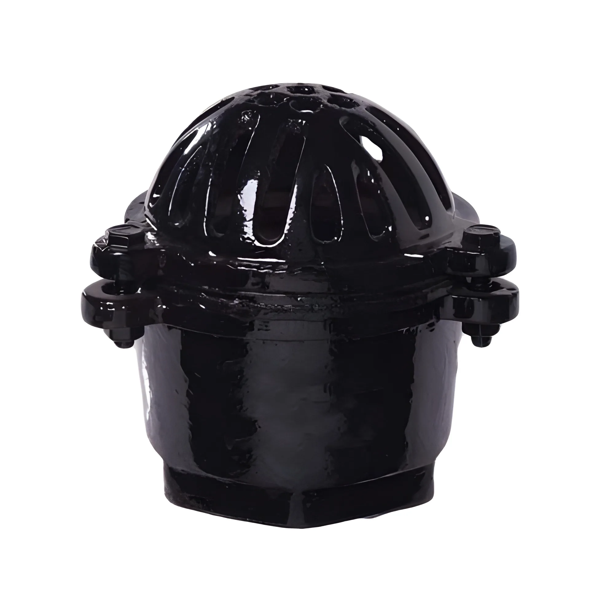 Carbon Steel Foot Valve