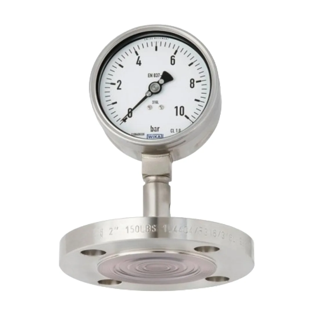 WIKA DSS27M Pressure Gauge With Mounted Diaphragm Seal (Flanged, Flush Diaphragm)