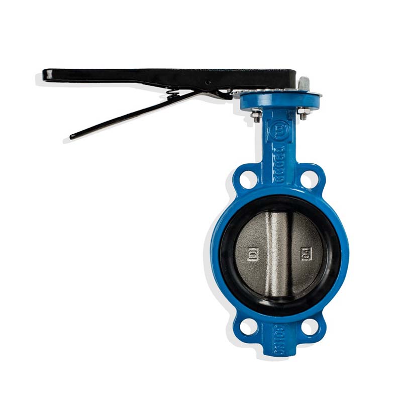 Butterfly Valve with Stainless Steel Disk